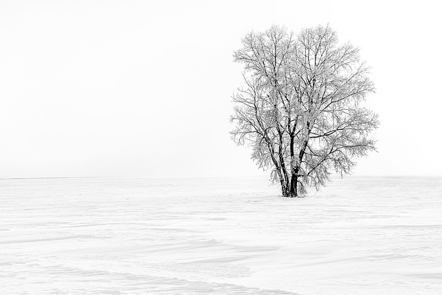 solitary