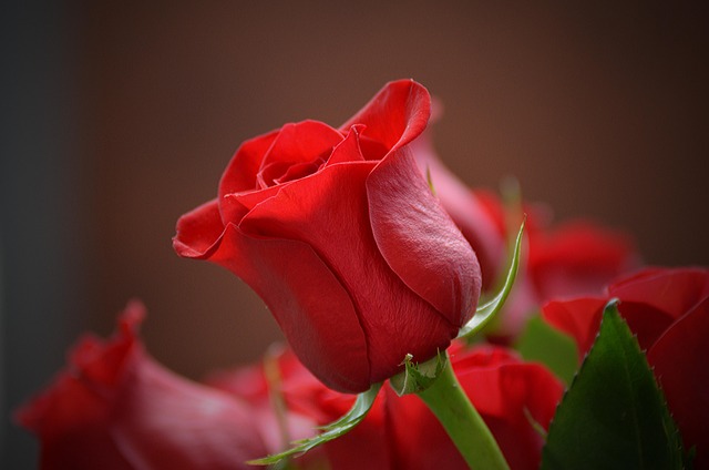 romance
