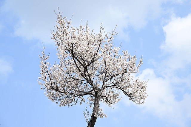 青空